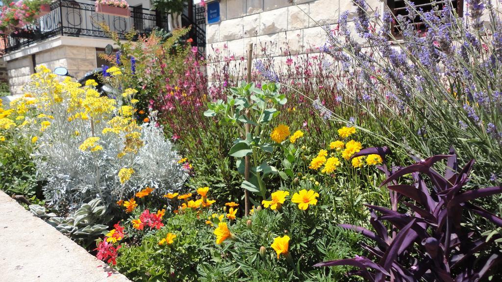 Guesthouse Apartment Bozica 볼 외부 사진